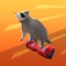 Icon Racoon Racing 3D