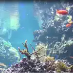 Reef Aquarium 2D/3D App Problems