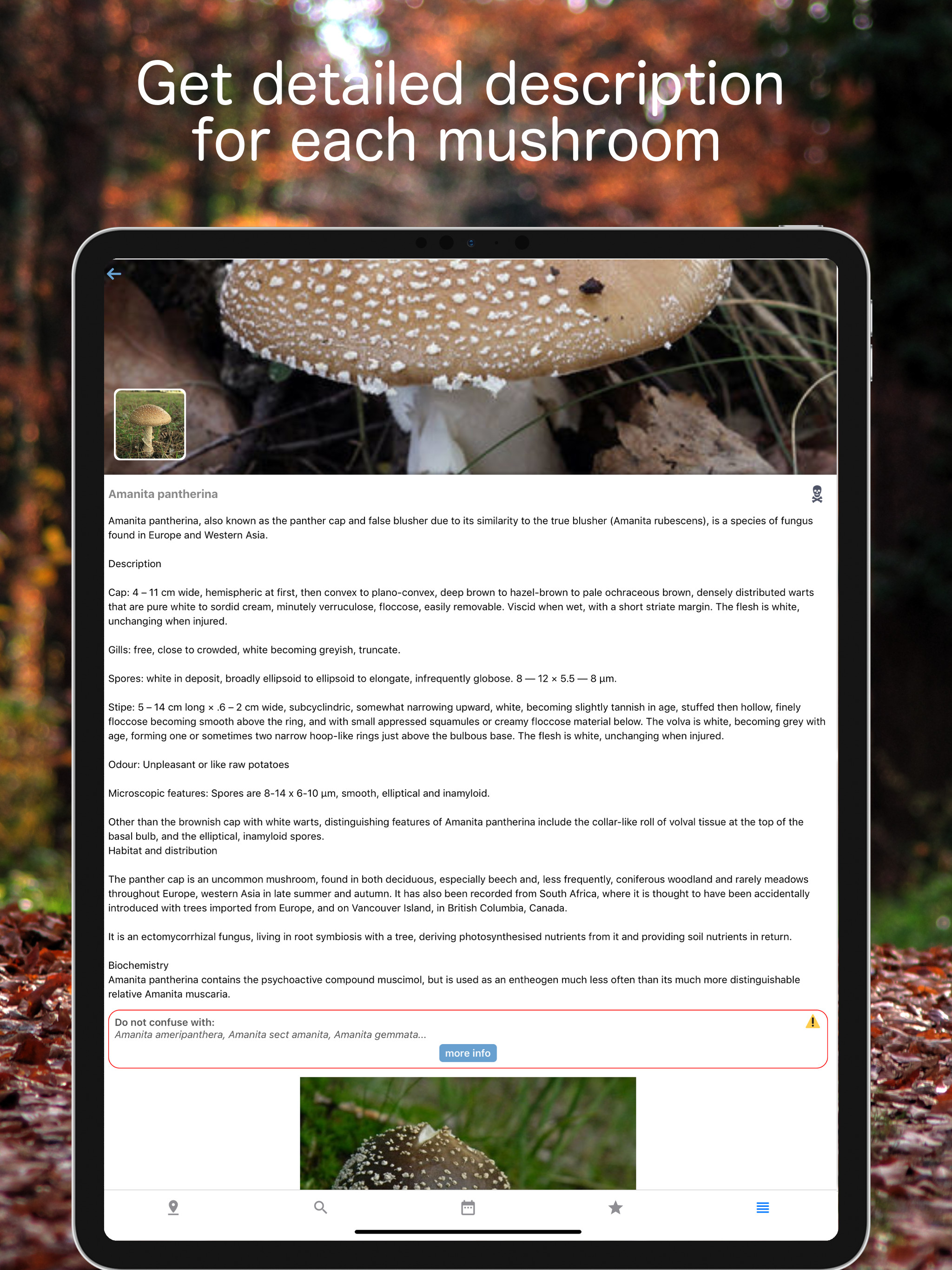 Mushroom Identificator