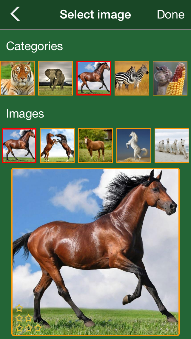 Animal puzzle kid jigsaw game