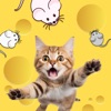 Cat Games For Cats: Mouse Toy - iPadアプリ