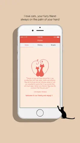 Game screenshot Darling cats mod apk
