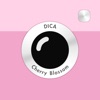 DICA - Cherry Blossom icon