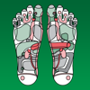 Droid Army CC - Reflexology Chart アートワーク