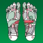 Reflexology Chart App Contact