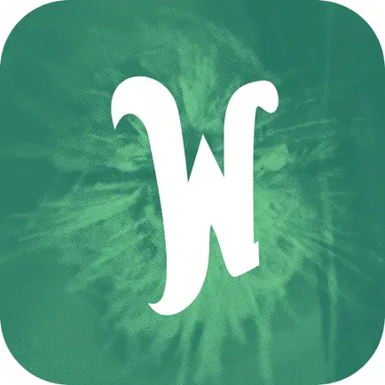 Wonderfruit Читы