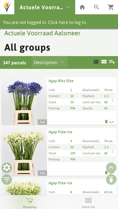 Rotoflowers Screenshot