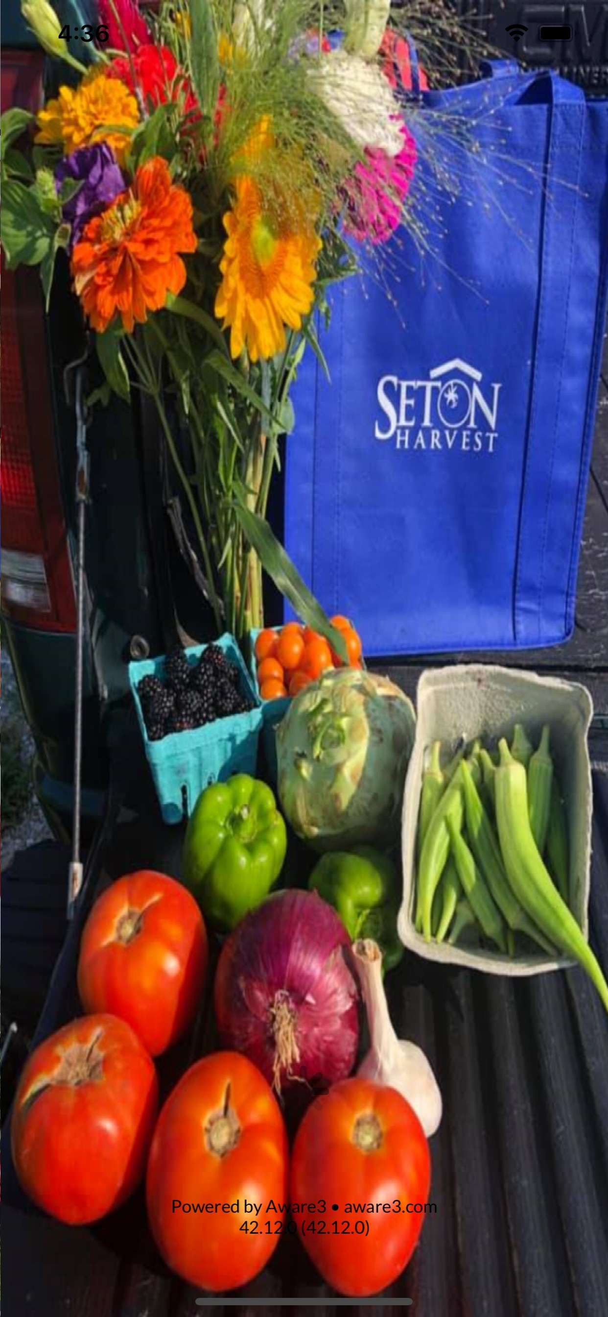 Seton Harvest