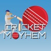 CricketMayhem: 2D Cricket Game icon