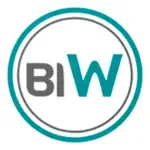 BiWork App Negative Reviews