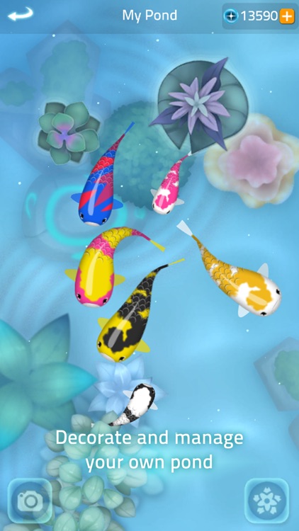 Zen Koi 2 screenshot-4