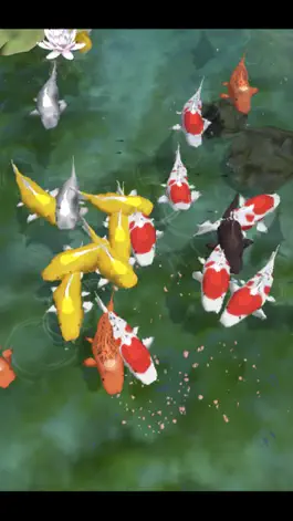 Game screenshot Carp bait -鯉に餌- hack