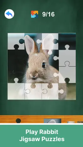 Game screenshot Adopt A Rabbit : Virtual Pet hack