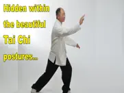tai chi martial applications ipad images 2