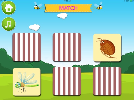 Screenshot #6 pour Learn about Insects