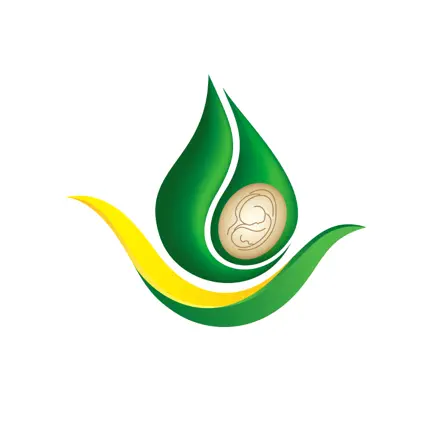 CBSEMENTES 2022 Читы