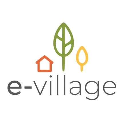 e-Village Читы