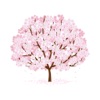 Sakura - 四字熟語Quiz icon