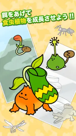 Game screenshot 食虫植物物語 mod apk