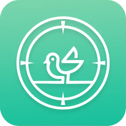 Birdiescope Читы