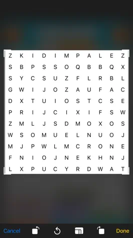 Game screenshot Word Search Solver Gold apk