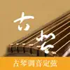 GuQin Tuner - Pitch Positive Reviews, comments
