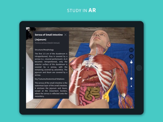 Complete Anatomy 2024 iPad app afbeelding 3