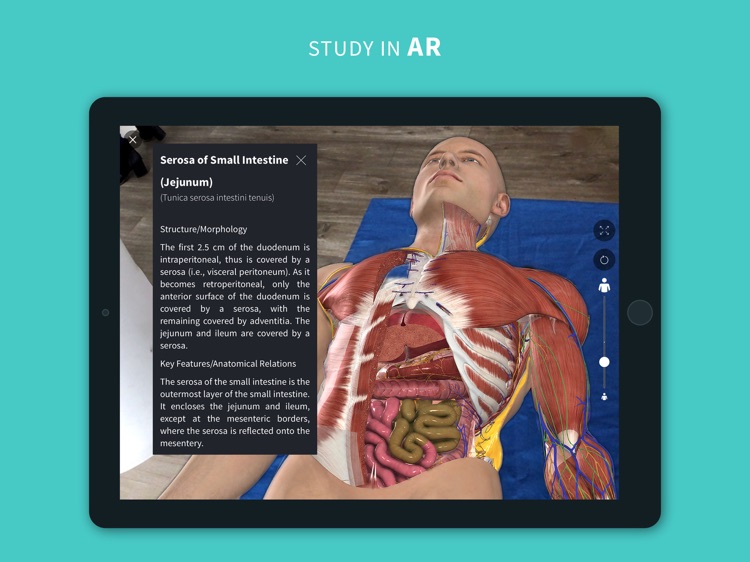 Complete Anatomy 2024