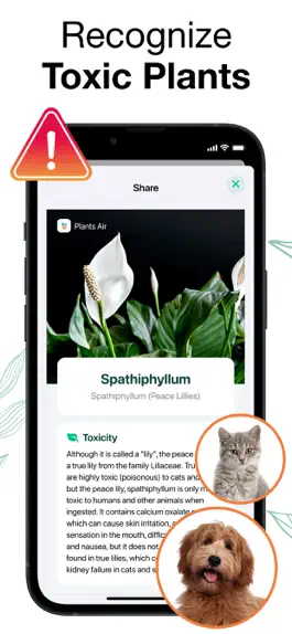 Game screenshot Plants Air - Plant Identifier apk