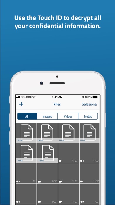 DBLock Screenshot