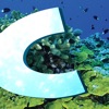 Coral Magazine icon