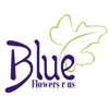Blue Flowers Shop