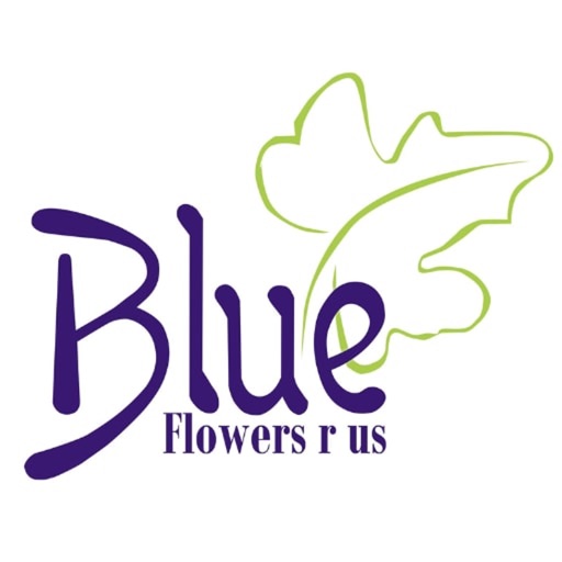 Blue Flowers Shop icon