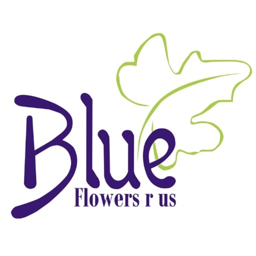 Blue Flowers Shop