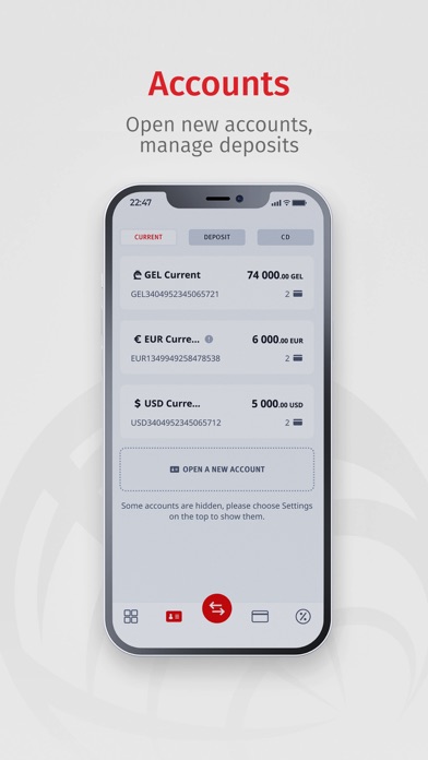 ProCredit Georgia Screenshot