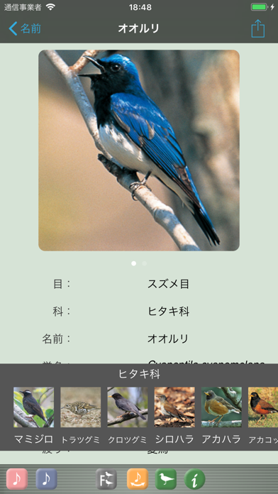 野鳥の鳴き声図鑑 screenshot1