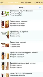 Экогид - Насекомые-вредители айфон картинки 1
