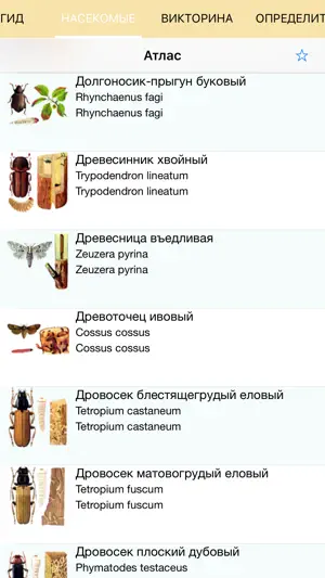 Экогид - Вредители деревьев screenshot 1