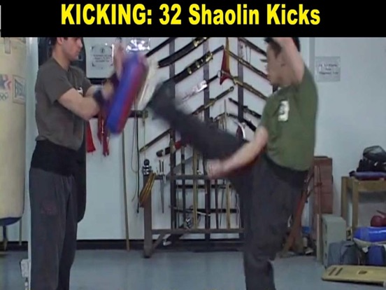 Screenshot #5 for Shaolin Kung Fu Fundamental