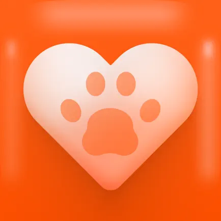 Хвост Ньюс Читы