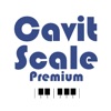 Cavit Scale