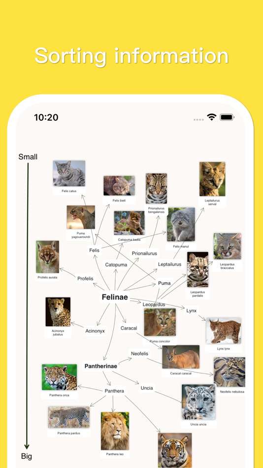 #5. MindSpace - Mind Map (macOS) 由: 佳文 潘