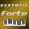 Forte Sound Editor icon
