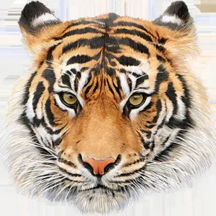 Amazing Animal Sounds Читы