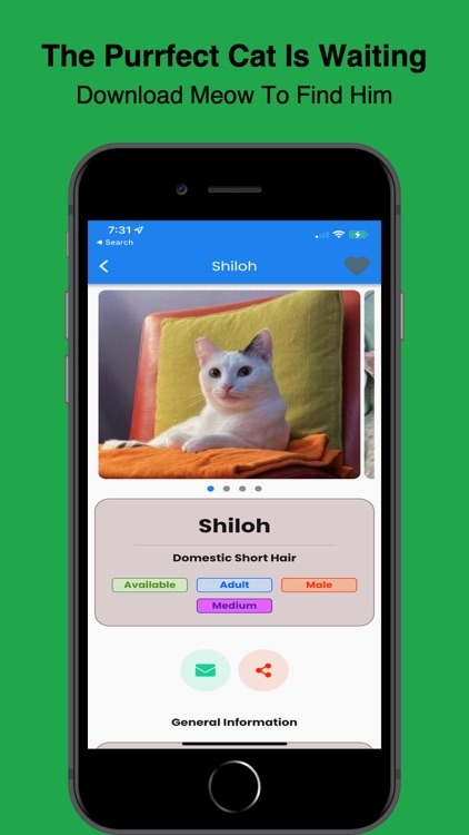 Feline Finder - When Adopting screenshot-3
