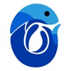 BANO - Balık Noktam icon