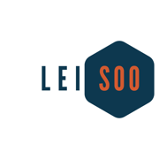 Leisoo 徕搜-手机手表同步搜