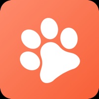 Petistic - Evcil Hayvanım