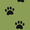 Trace footsteps icon