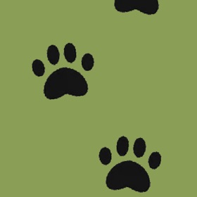 螢幕擷取畫面 (5) Trace footsteps